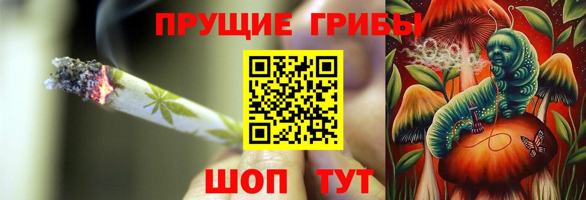 Ишим  Псилоцибиновые грибы Psilocybe  Вход с VPN 